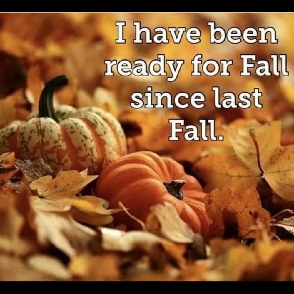 I have FALL Fever!